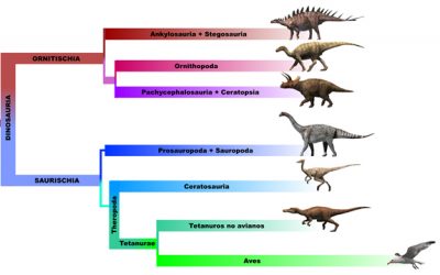 Com utilitzar els recursos pedagògics del projecte "Fa 65 milions d'anys"