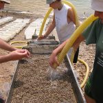 9. Campanya de rentat de sediment: en busca de microfòssils
