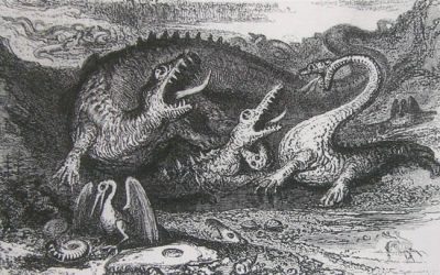 10. De quin color són els dinosaures? La reconstrucció científica de dinosaures