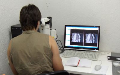 11. Una excavació en el laboratori; el triatge de microfòssils