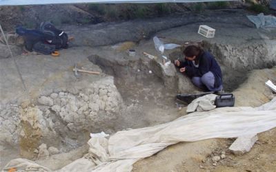 13. Font del Bullidor; el jaciment de niuades de dinosaure