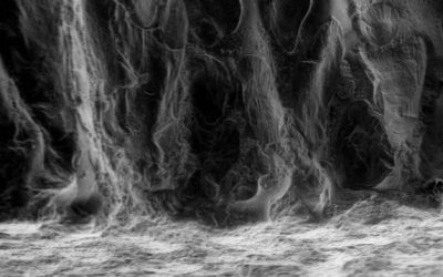 14. Noves tecnologies per estudiar els microfòssils