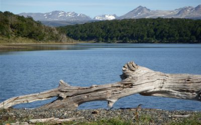 3. “Jo mai no havia vist éssers més miserables”