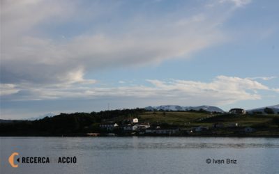 6. Un campament al bell mig de no-res