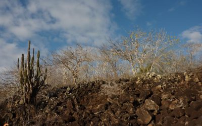 11. La decepció de Darwin