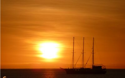 Solució de l'Enigma Científic