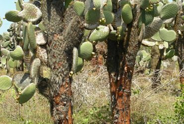 Com arribar a una illa i no morir en el intent