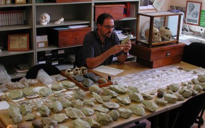 18. Obrint un sac de sorpreses: Els pinsans de Darwin