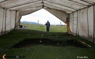 20. Per a excavar, el millor, un pinzell