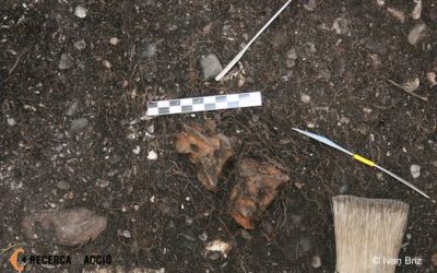 19. Què hi ha avui per dinar? Menú científic o menú yámana?