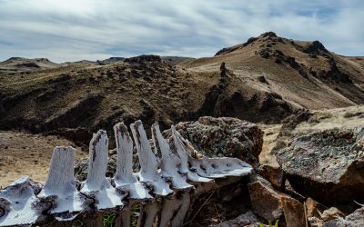 23. La maledicció de l’arqueologia