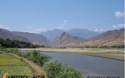 Qui s'emporta el premi de l'enigma?