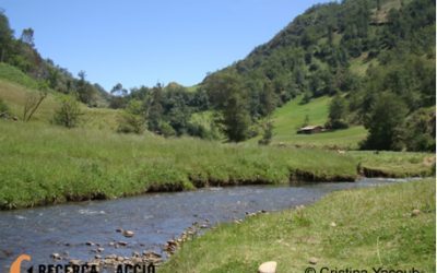 15. Quins resultats n’hem tret?