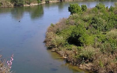 3. Medicaments als rius