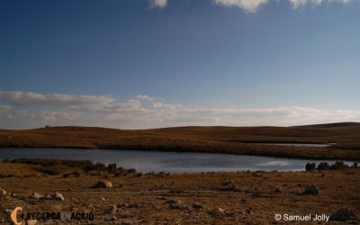 4. L’inici d’un viatge al laboratori: el monitoratge