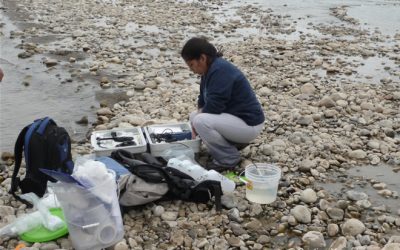 6. La feina de muntar un trencaclosques