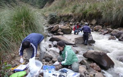 7. La sortida cap al camp