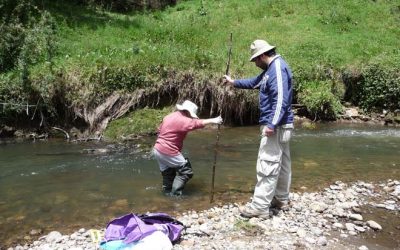 10. El repte dels cinc punts