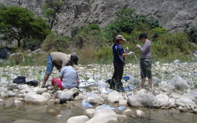 11. Sis punts fets i unes quantes picades