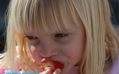 2. Els escolars catalans mengen poca verdura, fruita i peix