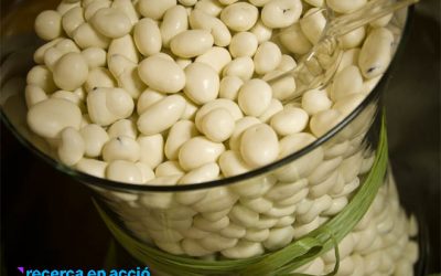 11. Els llegums, un aliment complet