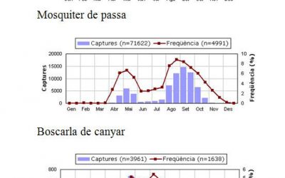 38. La bosqueta vulgar, la més tardanera! (2010)