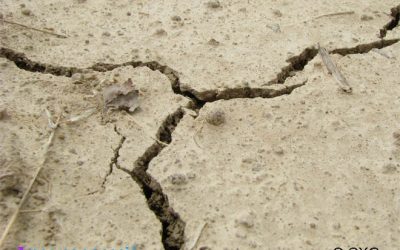 Tectònica activa o neotectònica a Catalunya