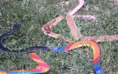 Llancem un bumerang!