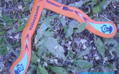 Llancem un bumerang (física del vol)