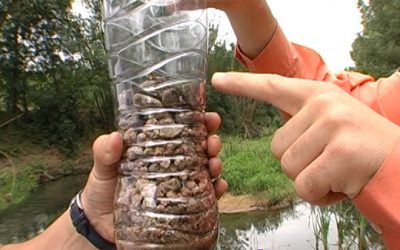 Un filtre natural per depurar aigua (partícules en suspensió)
