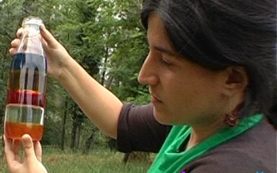 Juguem amb la densitat dels líquids