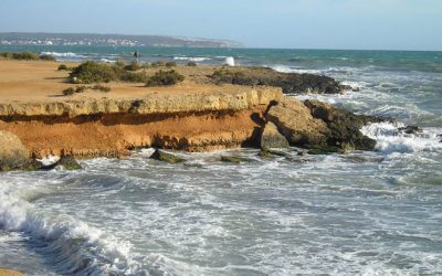 Mallorca (II): Es Carnatge i el patrimoni paleontològic