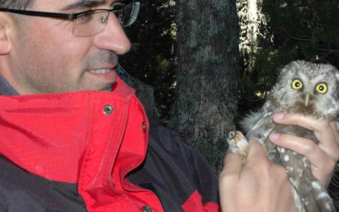 Pere Alzina i Bilbeny