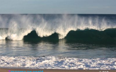 Què li passa a una onada quan arriba a una platja?