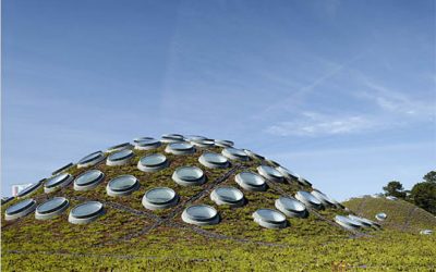 California Academy of Sciences