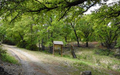 Un viatge a través del temps (II): Areny de Noguera