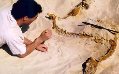 Un viatge a través del temps (IV): Alcover i Montblanc