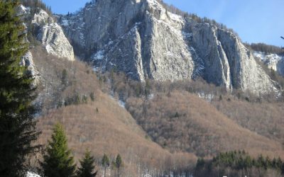 Els Carpats romanesos, un excels rebost faunístic