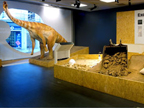 Nou Institut Català de Paleontologia