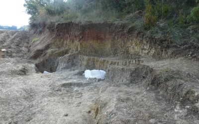 4: Trobem una tíbia de dinosaure