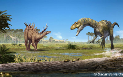 1: Viatgers del temps