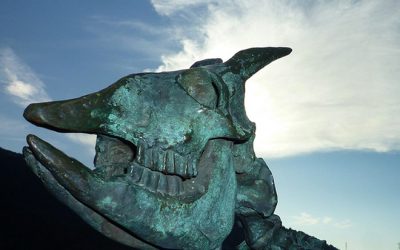 8: LLegint els “anells” de creixement dels ossos