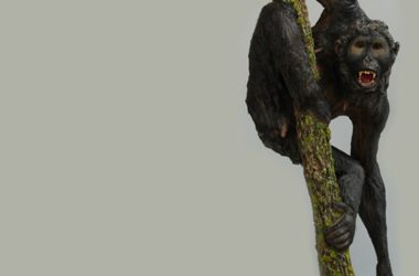 12: Sobre els noms dels fòssils