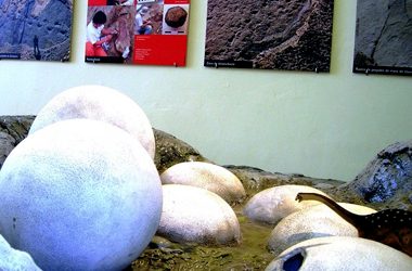 14: L’ajuda del làser