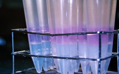 7: I ara ja sols queda esperar