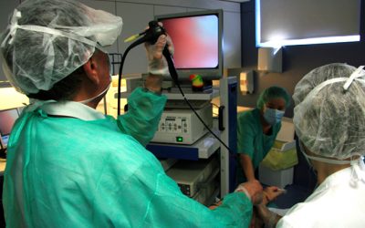 15: L'hora de la veritat