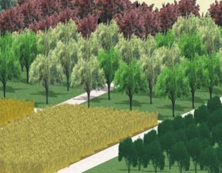 L'Arboretum de LLeida