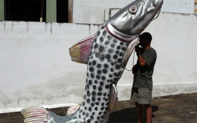 9: La població de Piranhas