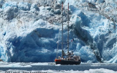 6: Els trams anteriors (II)