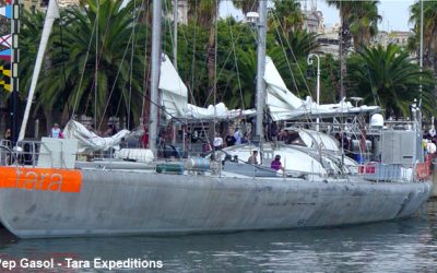 2: La vida i la feina a bord d'un veler